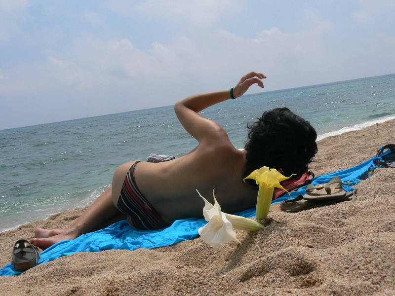 Беременная шалунья отдыхает топлес с подругами  на пляже 6 фотография